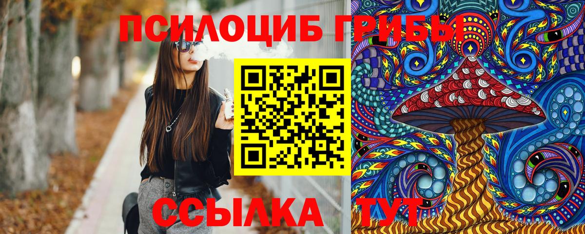 Псилоцибиновые грибы ЛСД Курган