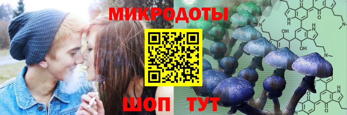 Галлюциногенные грибы MAGIC MUSHROOMS  Вход с VPN  Курган 